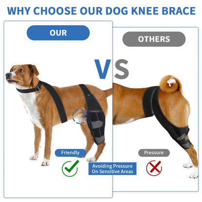 K9 ComfortFit™ Knee Brace Back Leg