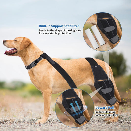 K9 ComfortFit™ Knee Brace Back Leg