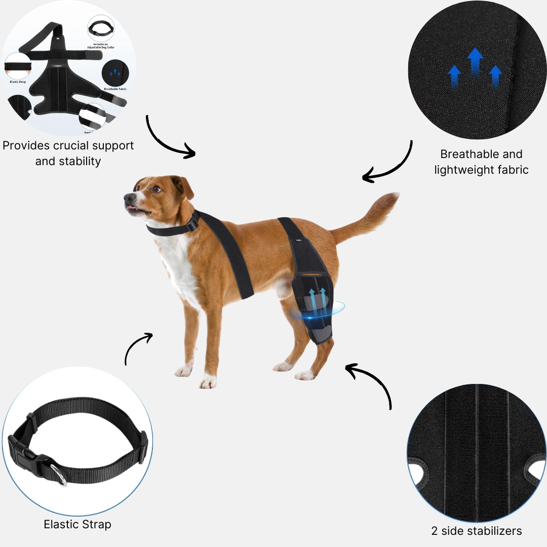 K9 ComfortFit™ Knee Brace Back Leg