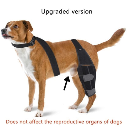K9 ComfortFit™ Knee Brace Back Leg
