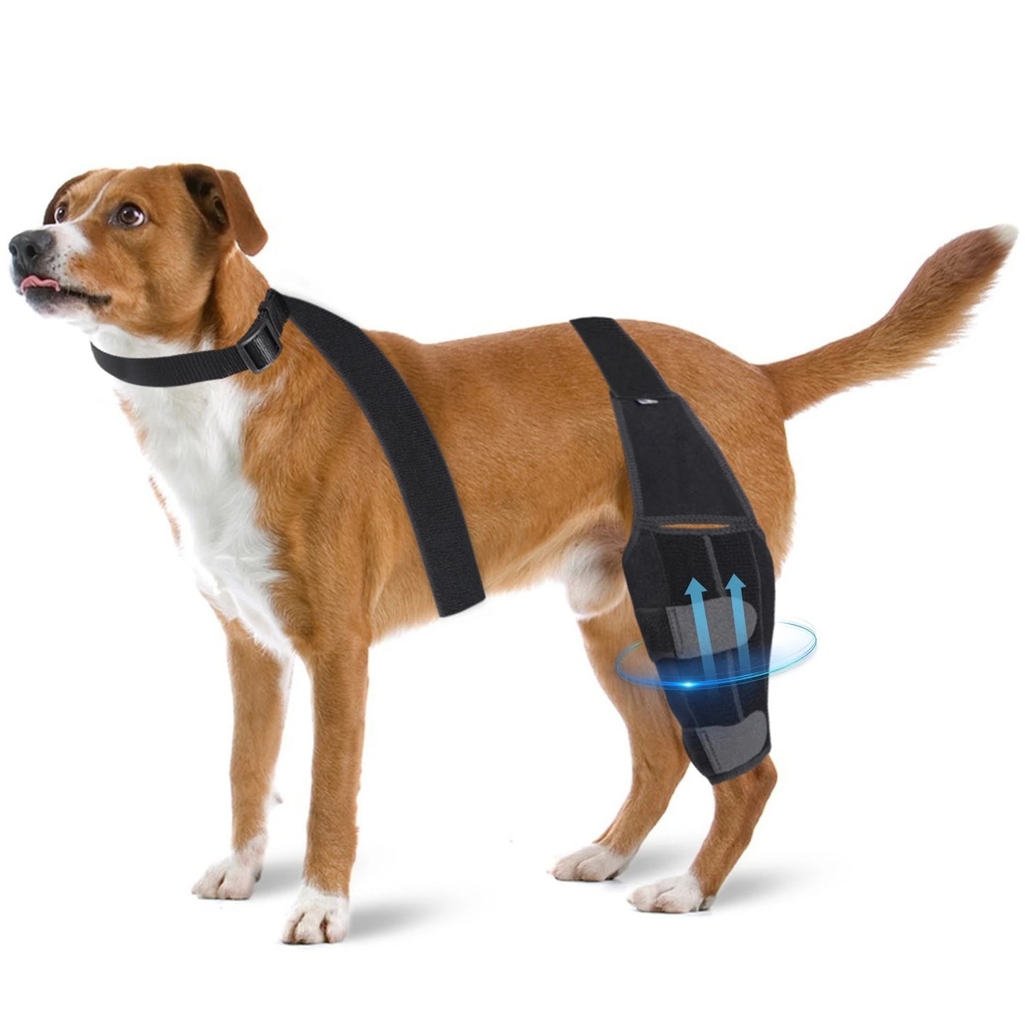 K9 ComfortFit™ Knee Brace Back Leg